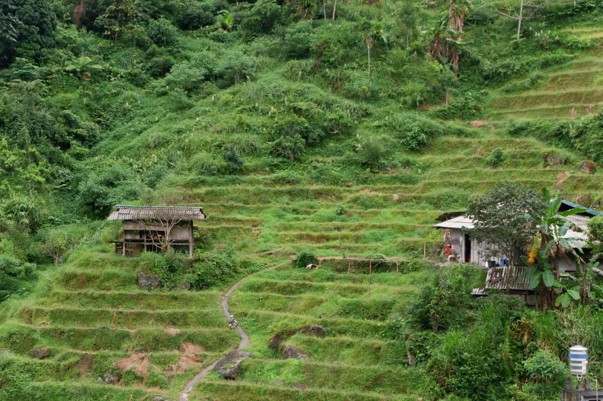 Bikki'S Jungle Homestay Ha Giang Buitenkant foto
