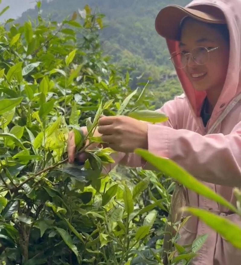 Bikki'S Jungle Homestay Ha Giang Buitenkant foto