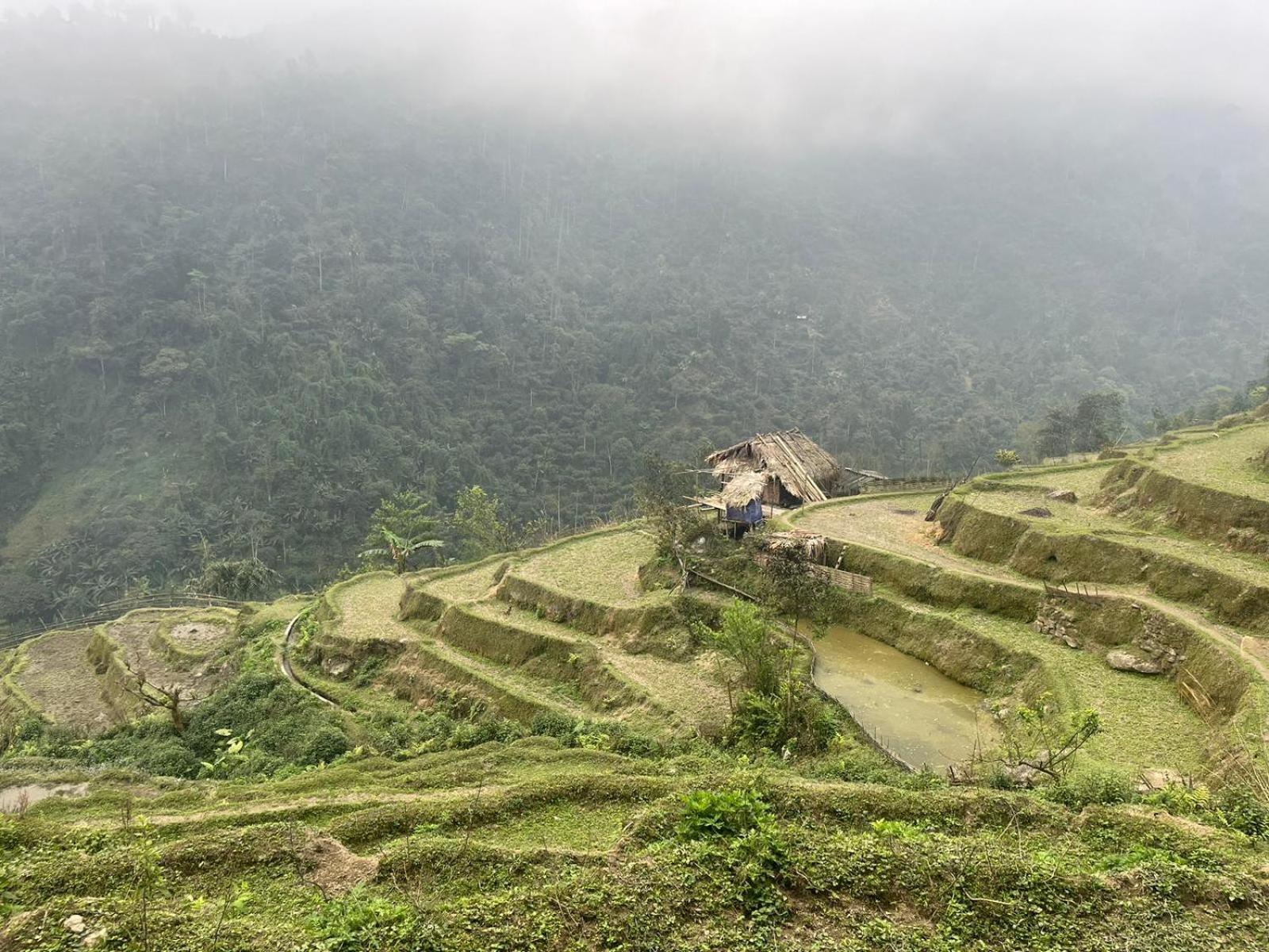 Bikki'S Jungle Homestay Ha Giang Buitenkant foto