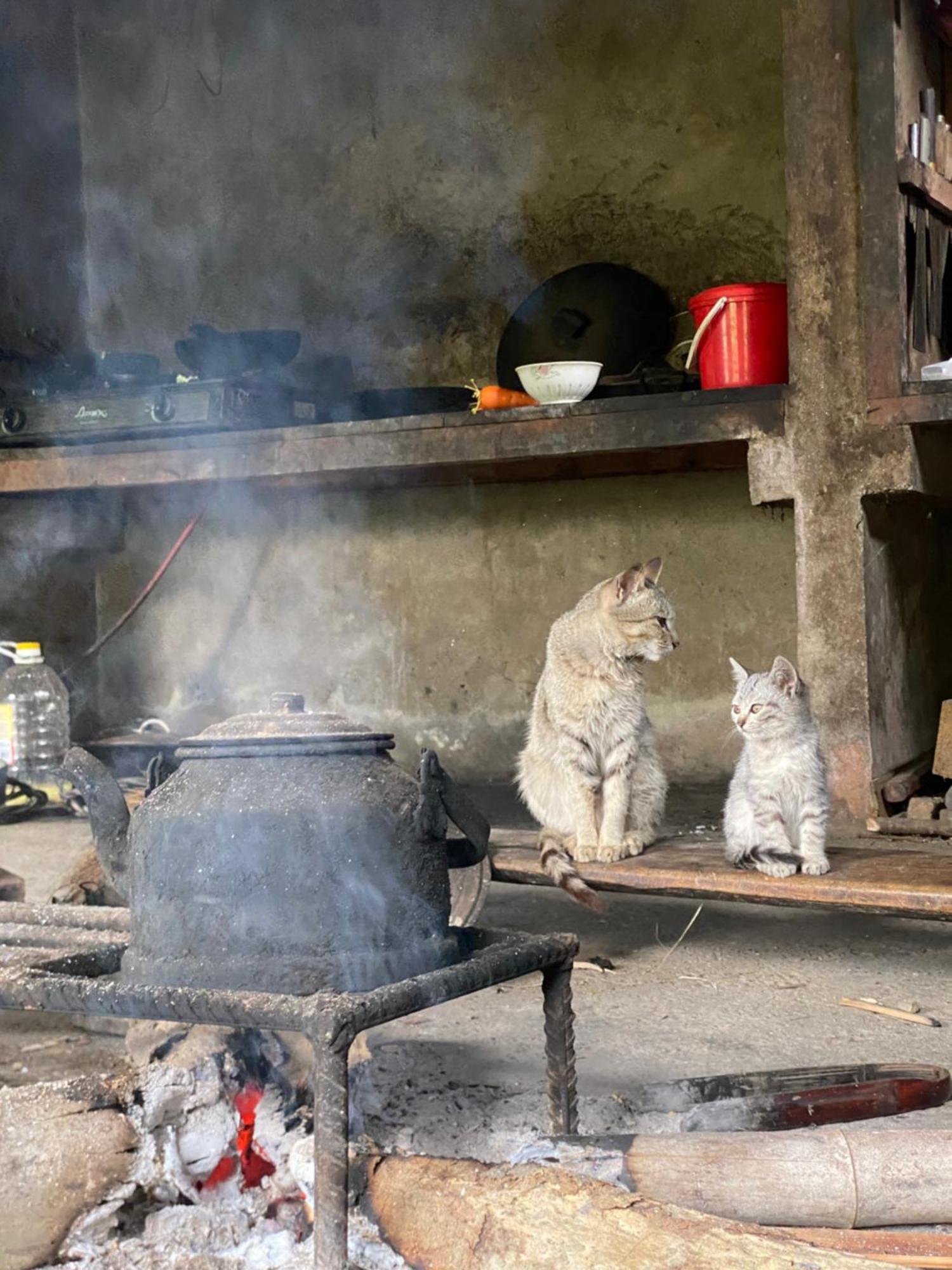 Bikki'S Jungle Homestay Ha Giang Buitenkant foto