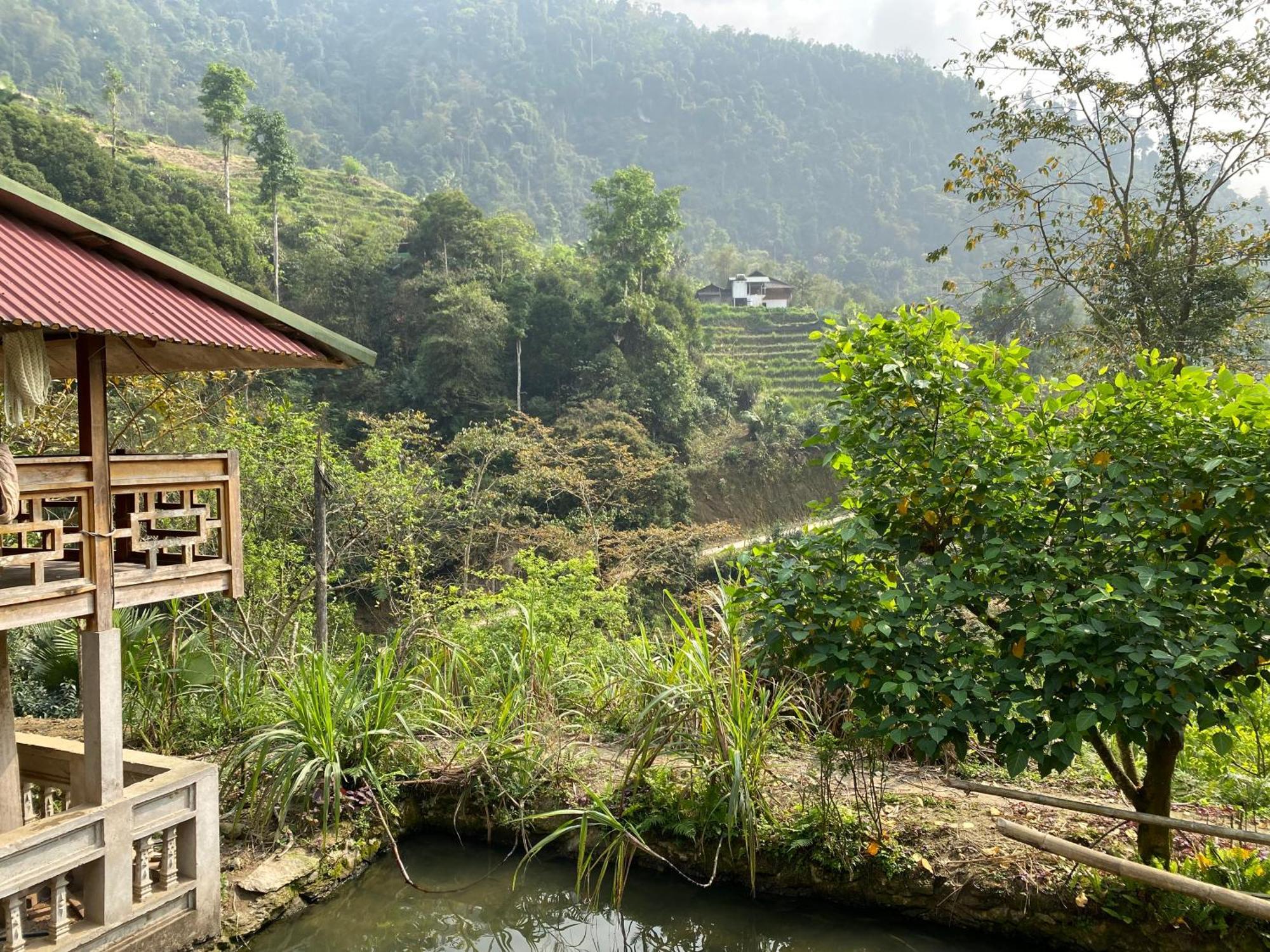 Bikki'S Jungle Homestay Ha Giang Buitenkant foto