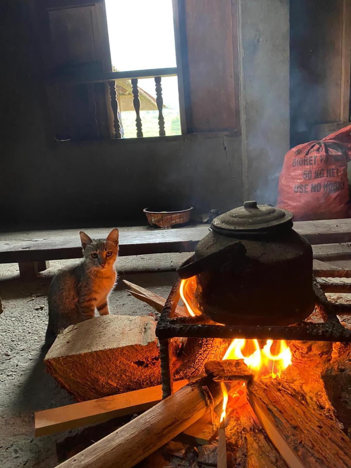 Bikki'S Jungle Homestay Ha Giang Buitenkant foto