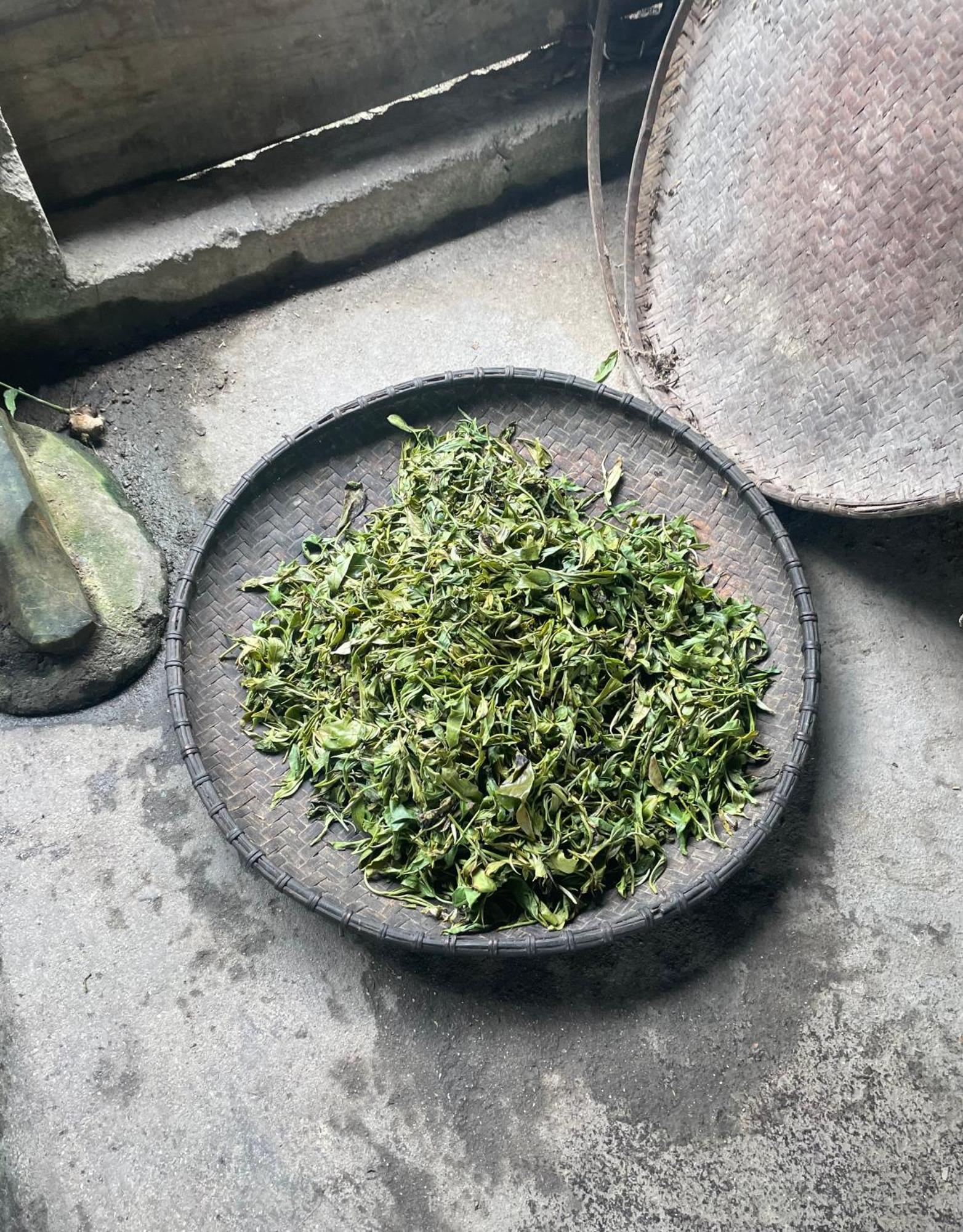 Bikki'S Jungle Homestay Ha Giang Buitenkant foto
