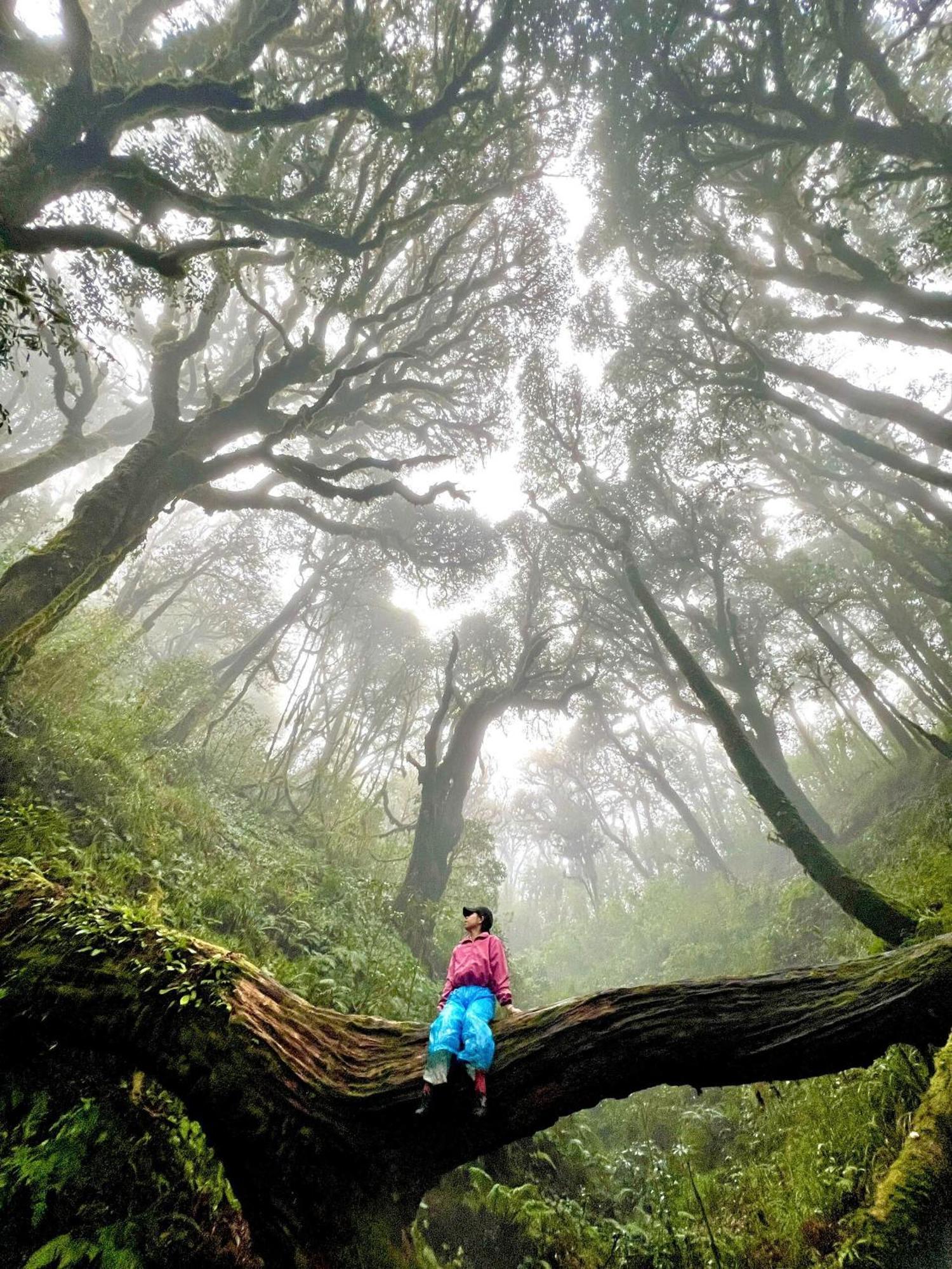 Bikki'S Jungle Homestay Ha Giang Buitenkant foto